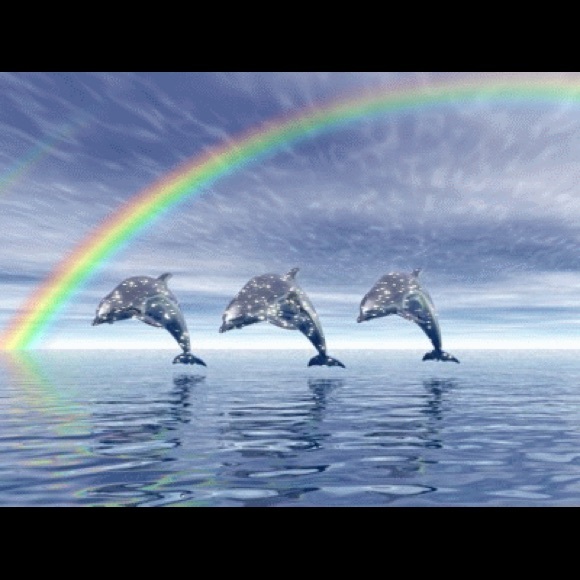 Meet your Posher, Laura - Picture 1 of 1